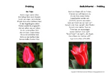 Die-Tulpe-Platen.pdf